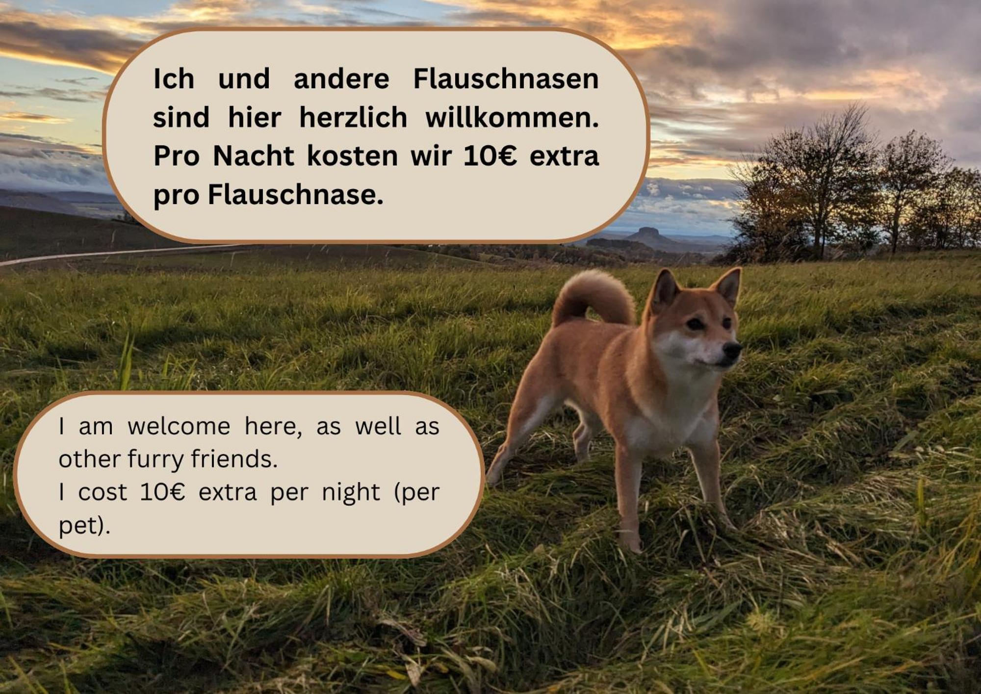 W2 - Urlaubsmagie - Im Herzen Des Elbsandsteingebirges Sebnitz Esterno foto